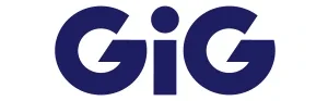 Gaming Innovation Group
